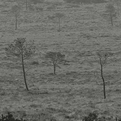 Nature en vadrouille